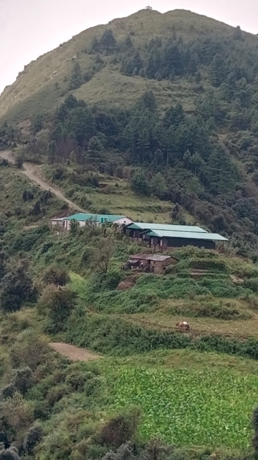 Himalayan Stay Lodges img