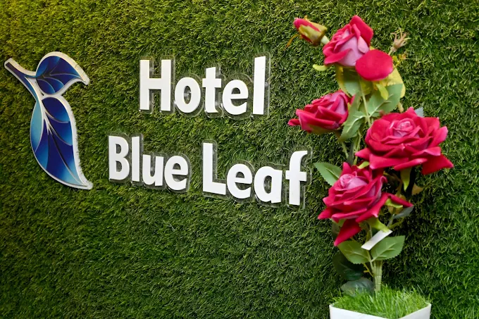 Hotel Blue Leaf img