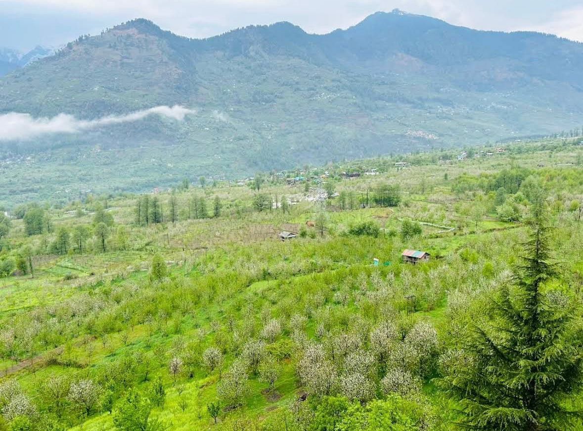 Hotel snow Crest Residency img